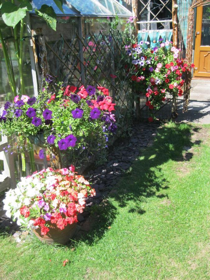 Perfect for Petersfield B&B Exterior foto